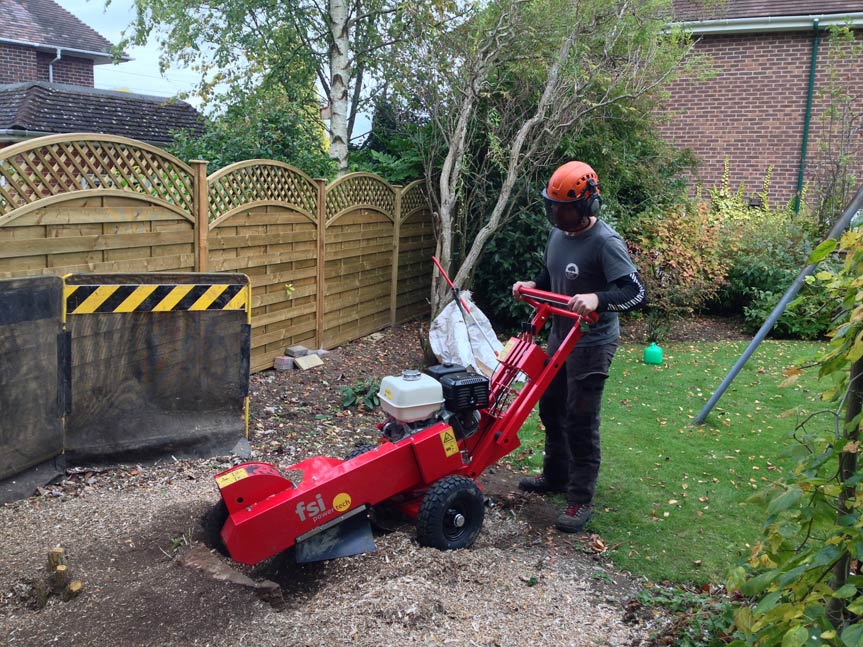 Tree Stump Removal Sheffield CHC Tree Care